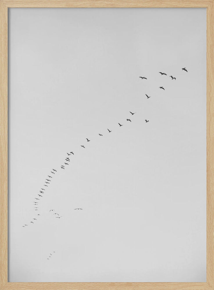 Flight in Formation | Poster