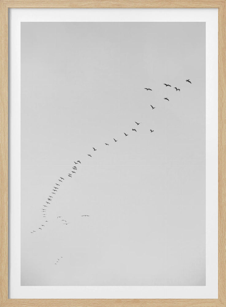 Flight in Formation | Poster