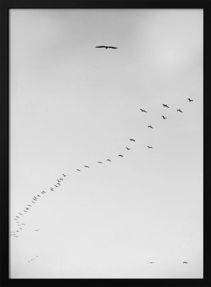 Skyward Journey | Poster