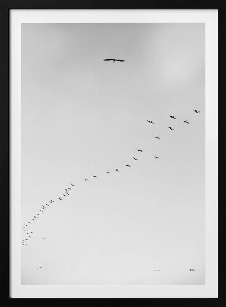 Skyward Journey | Poster