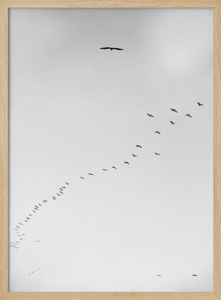 Skyward Journey | Poster
