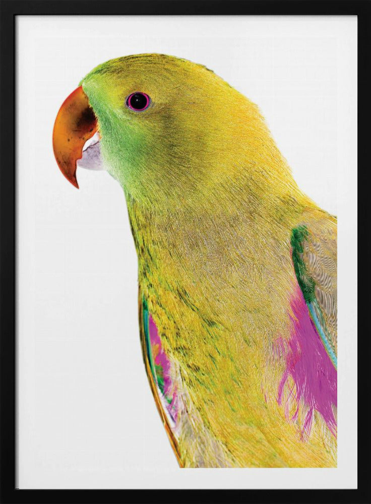 Vibrant Parrot Profile | Poster
