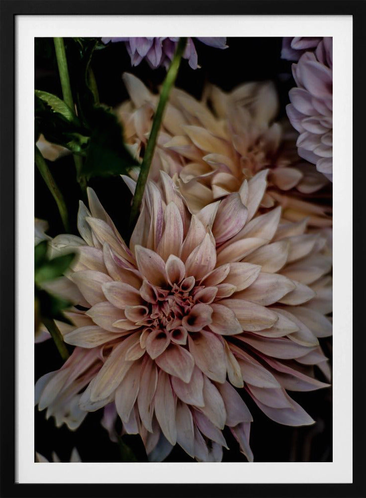 Petals in Bloom | Poster