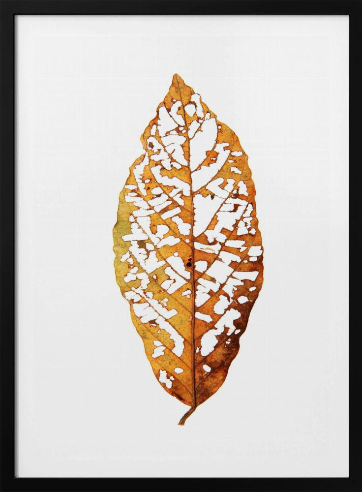 Bladskelet Essentie | Poster