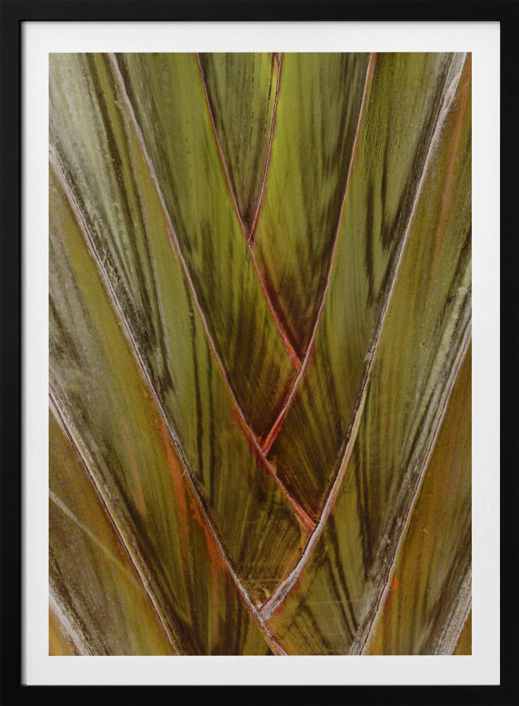 Groene werveling | Poster