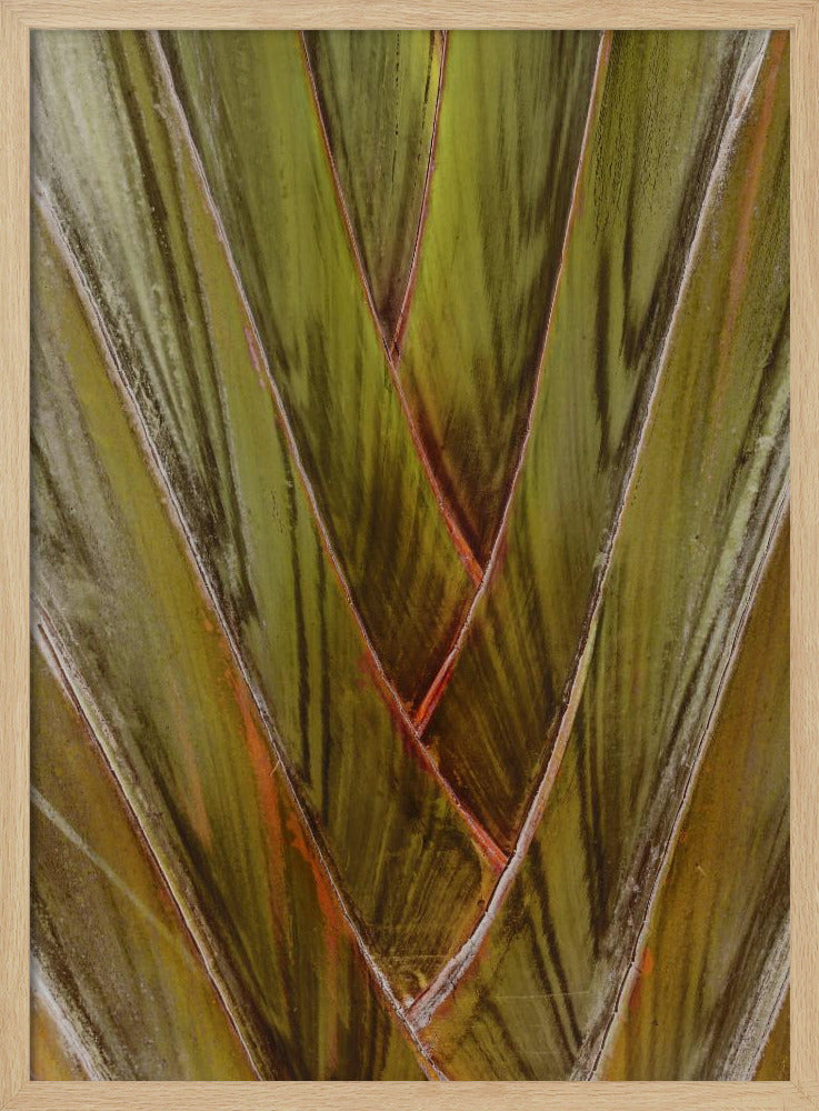 Groene werveling | Poster