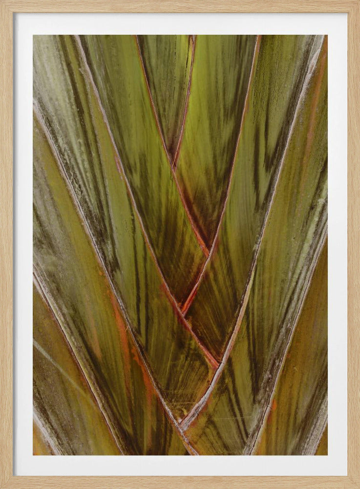 Groene werveling | Poster