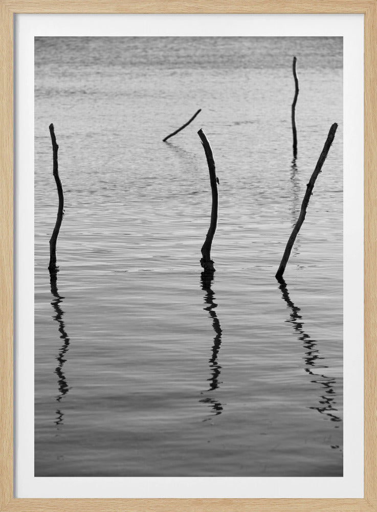 Stille reflecties | Poster