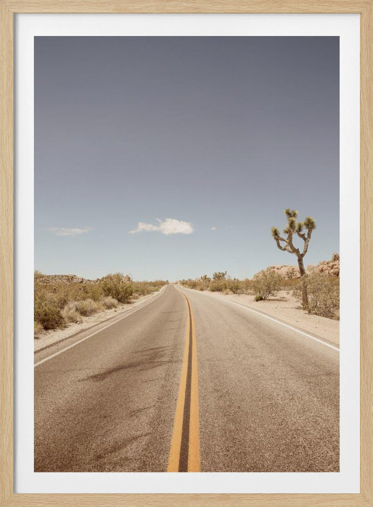 Verlaten snelweg | Poster