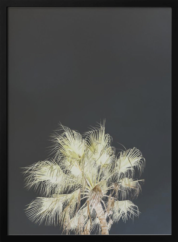 Luminous Palms | Poster