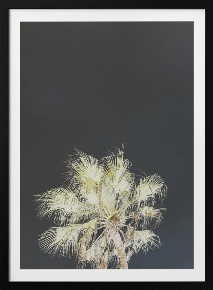 Luminous Palms | Poster