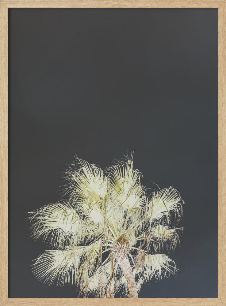 Luminous Palms | Poster