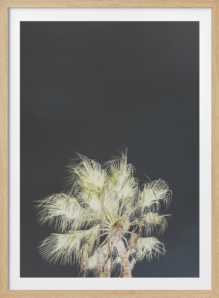 Luminous Palms | Poster
