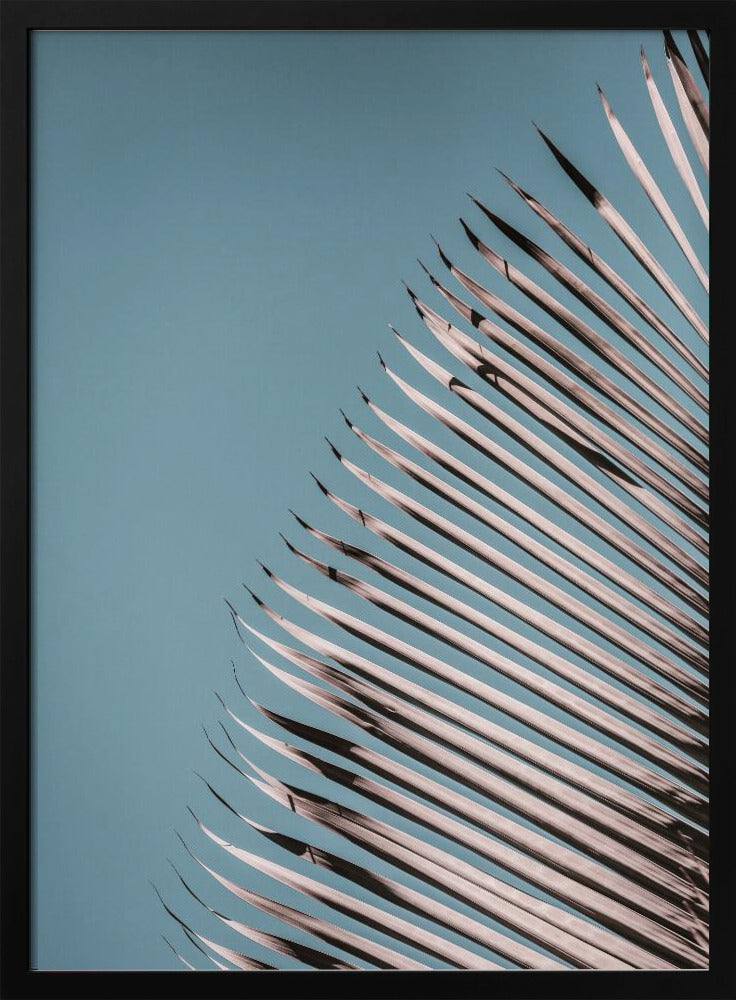 Palm Leaves Serenity | Poster