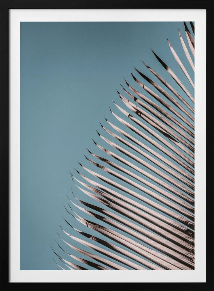 Palm Leaves Serenity | Poster