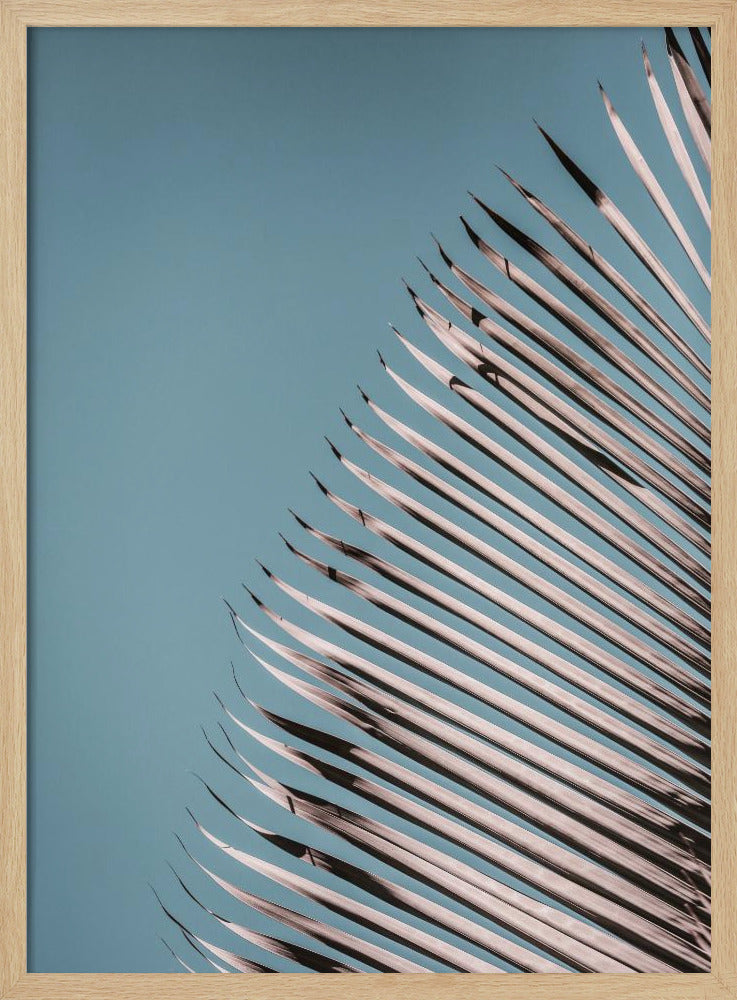 Palm Leaves Serenity | Poster