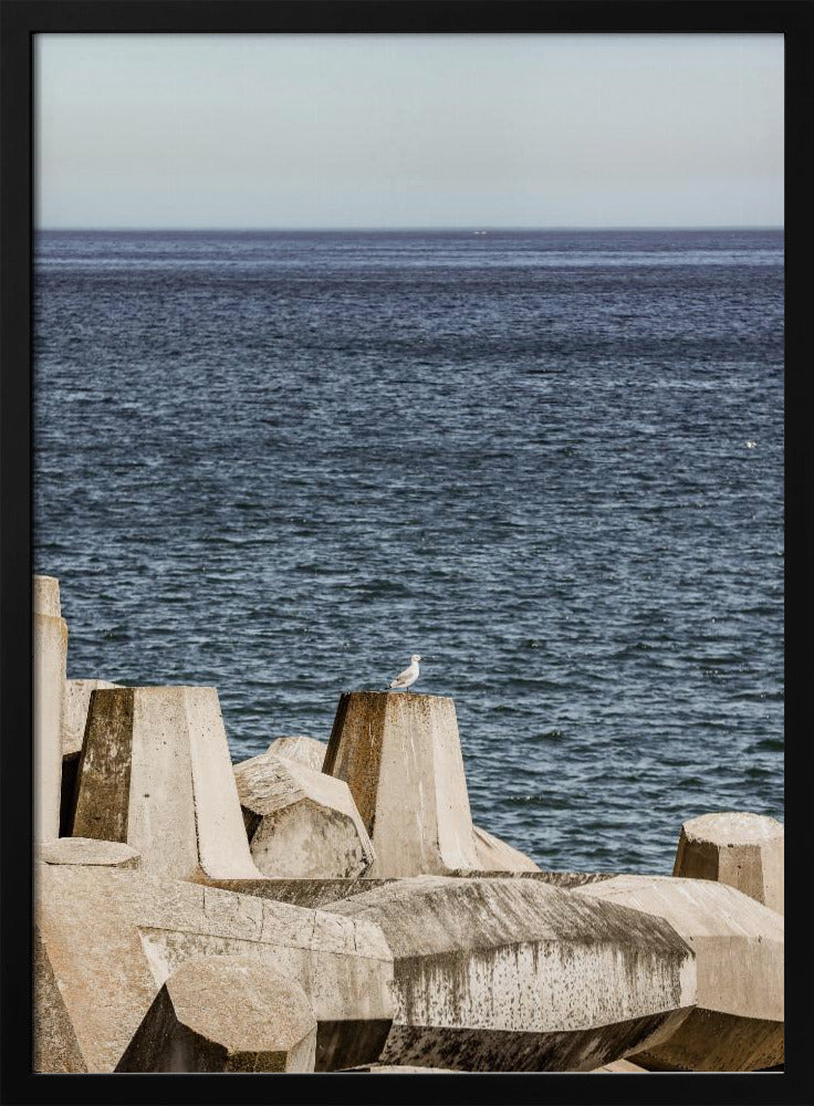 Meeuw aan zee | Poster