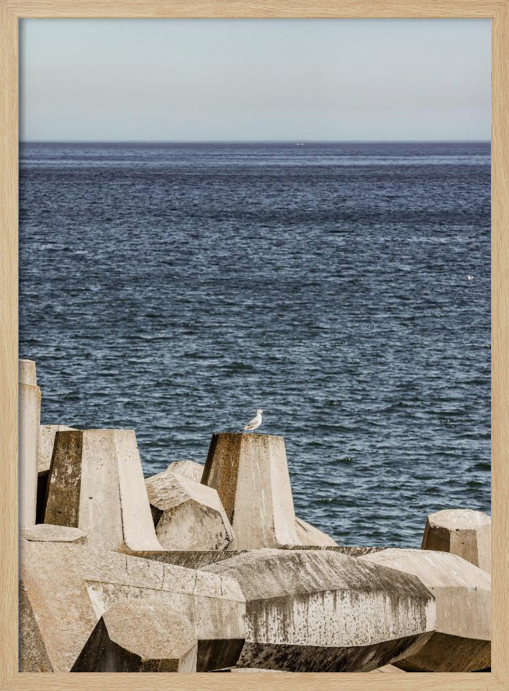 Meeuw aan zee | Poster
