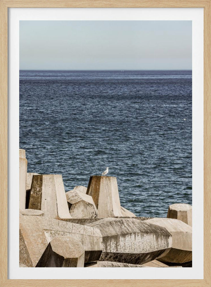 Meeuw aan zee | Poster