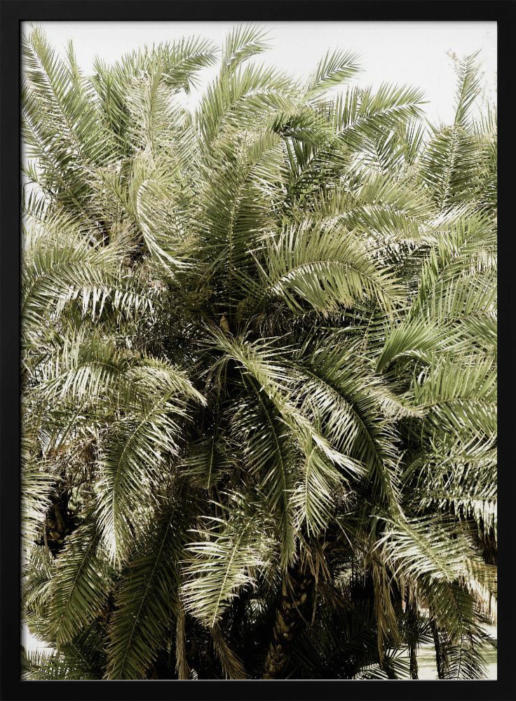 Verdant Palm Waves | Poster