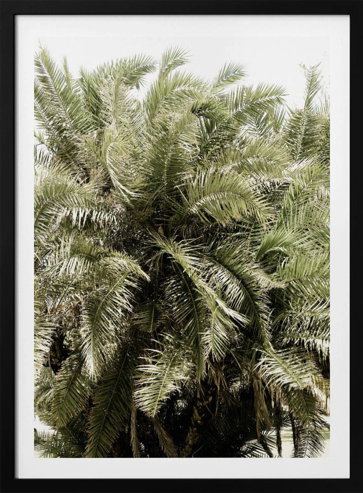 Verdant Palm Waves | Poster