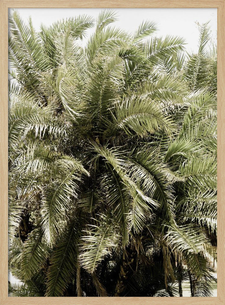 Verdant Palm Waves | Poster
