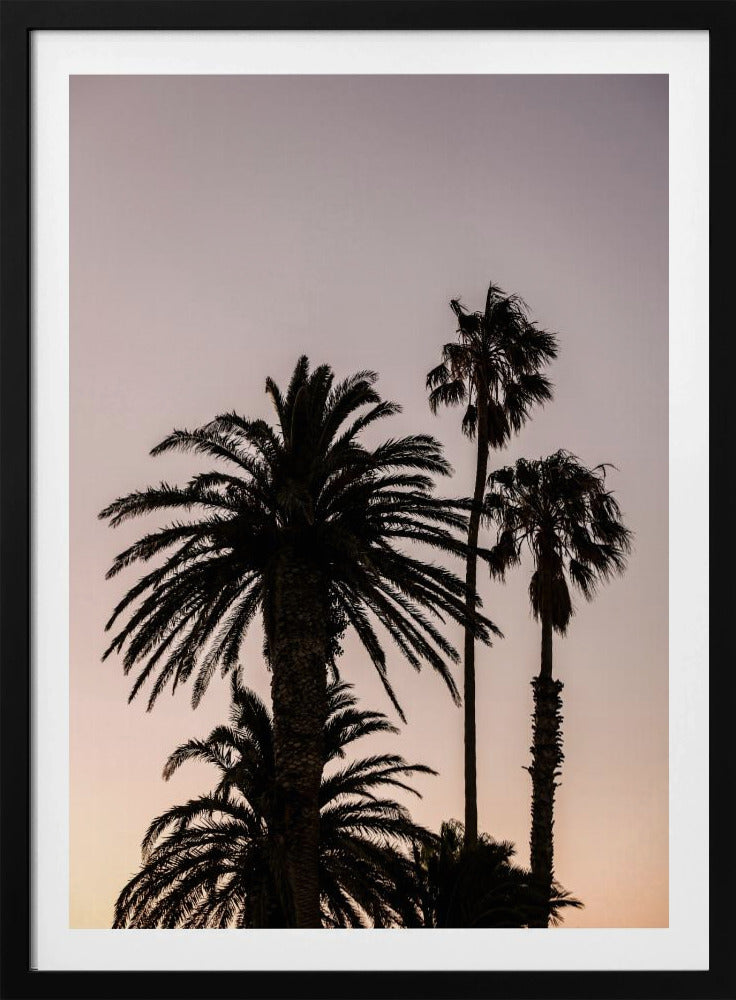 Silhouet van palmbomen | Poster
