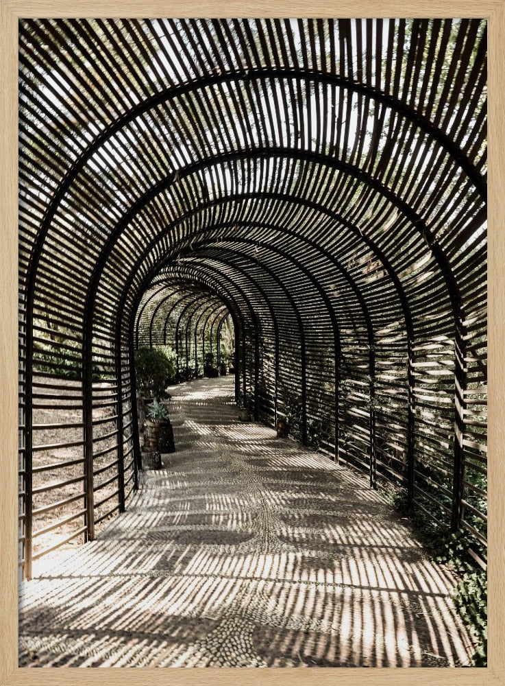 Schaduwtuin | Poster