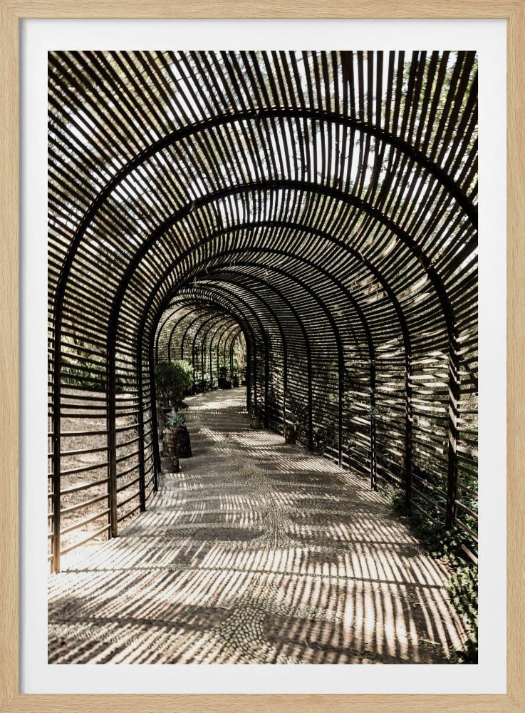 Schaduwtuin | Poster