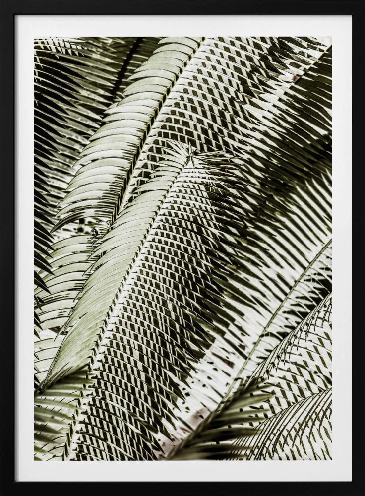 Schaduwdansen | Poster