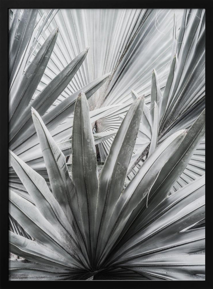 Zilverspray | Poster