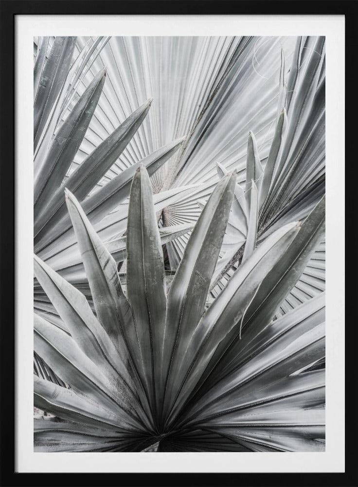 Zilverspray | Poster
