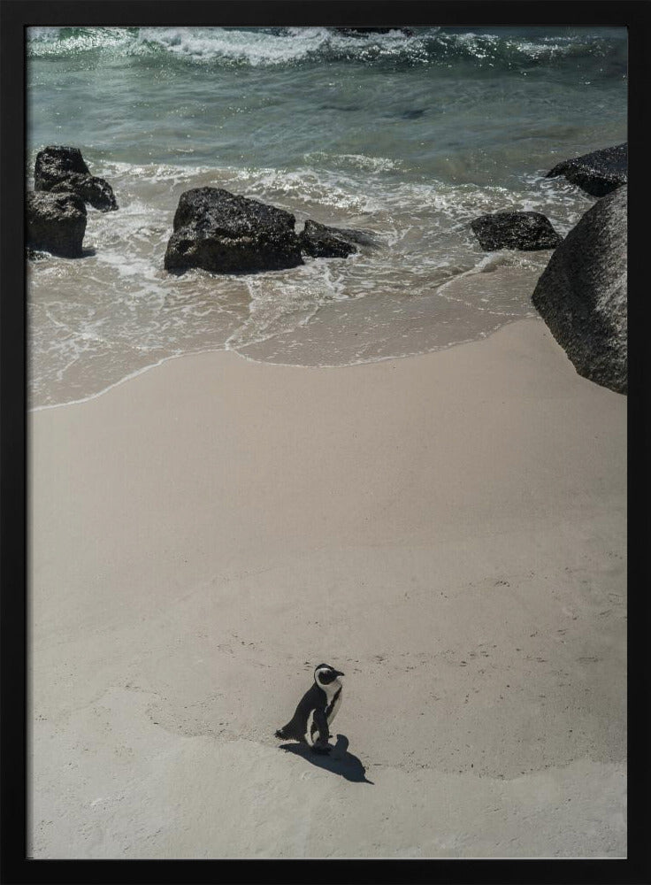 Eenzame strandwandeling | Poster