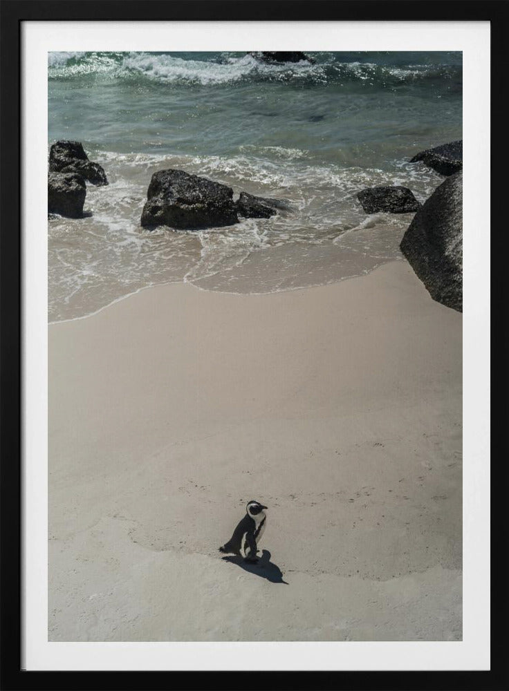 Eenzame strandwandeling | Poster