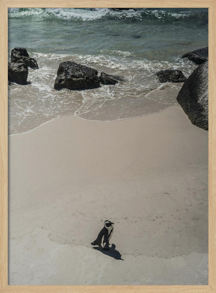 Eenzame strandwandeling | Poster