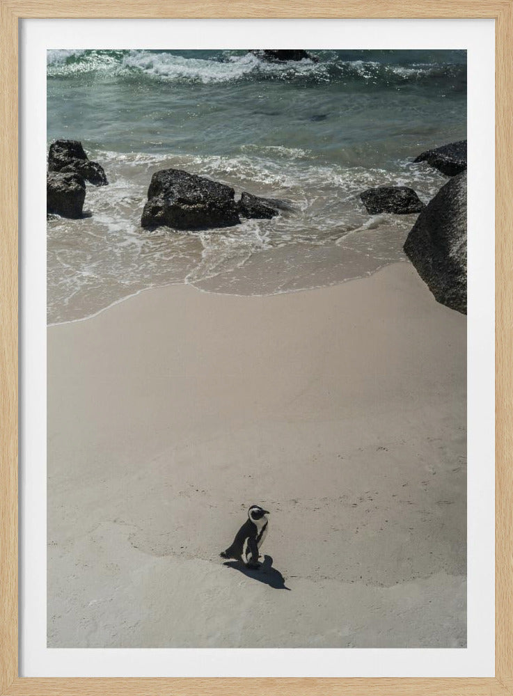 Eenzame strandwandeling | Poster