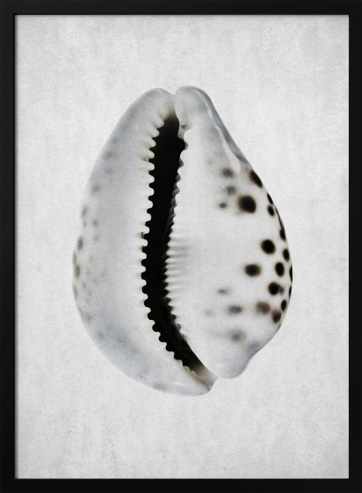 Springtij | Poster