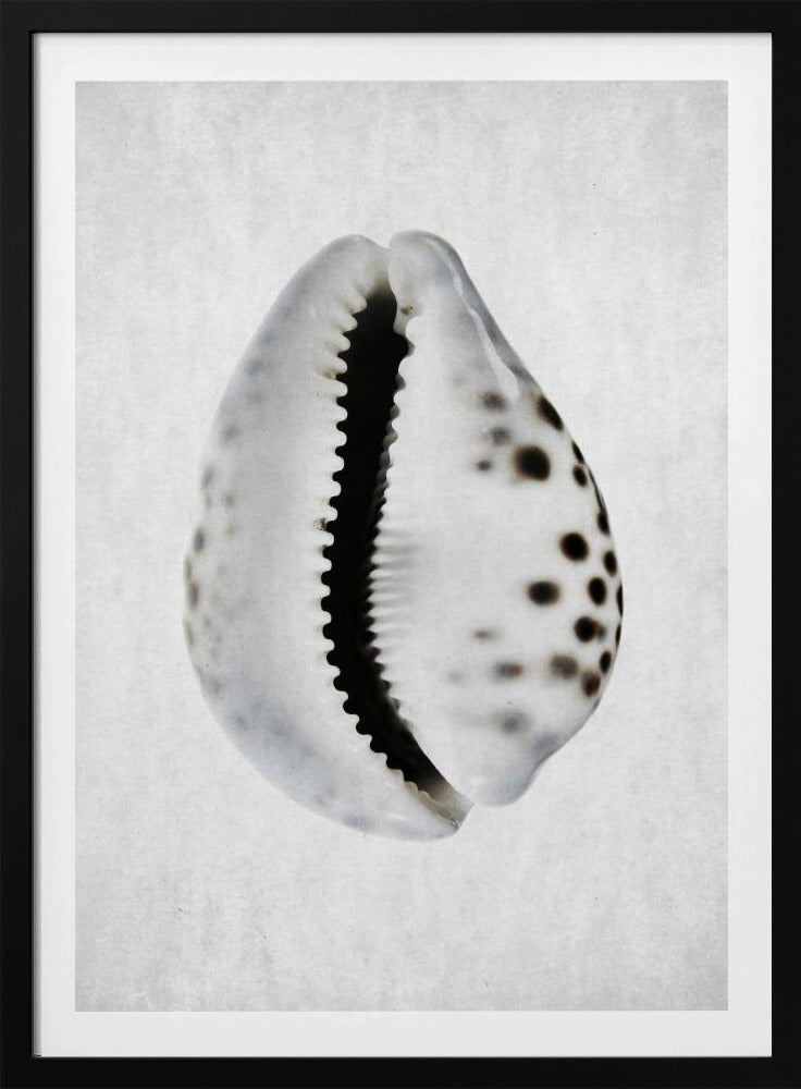 Springtij | Poster