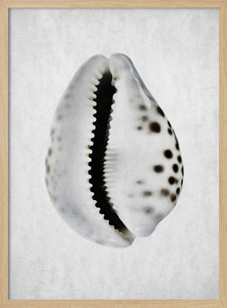 Springtij | Poster
