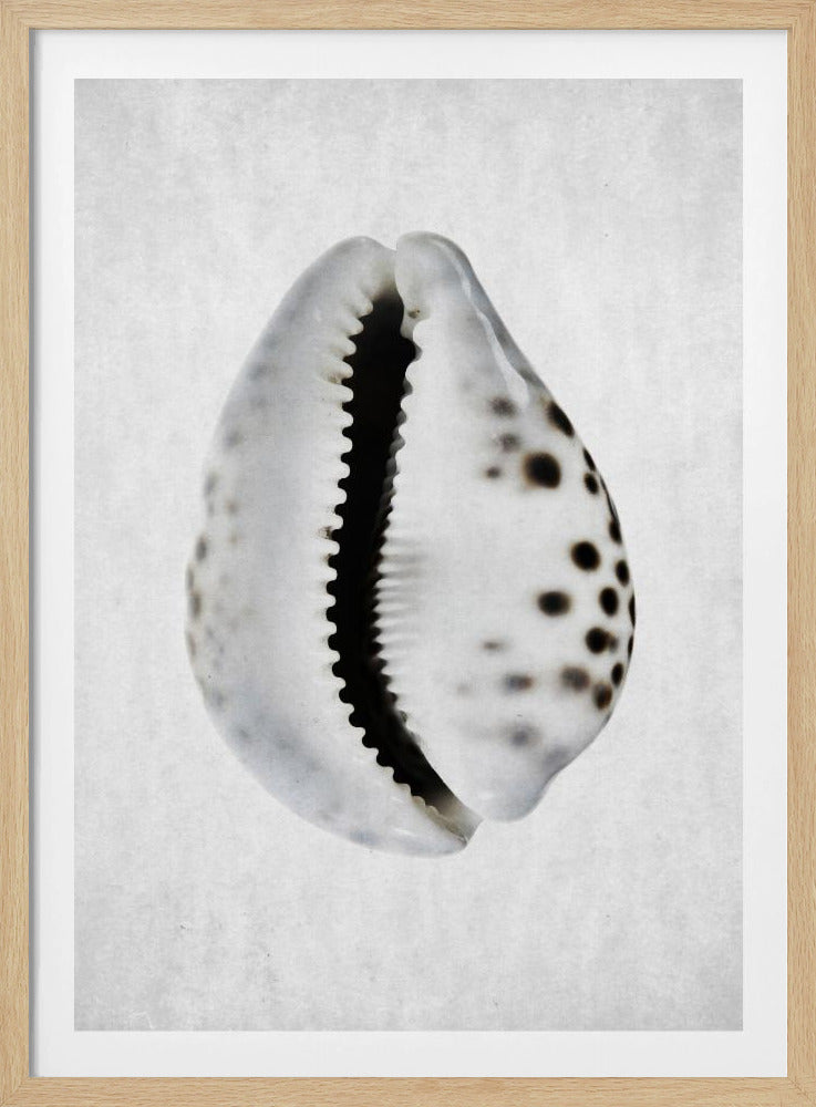 Springtij | Poster
