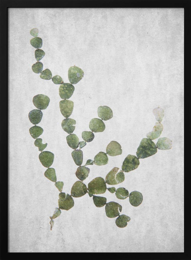 This Minimalist Artwork | Poster
