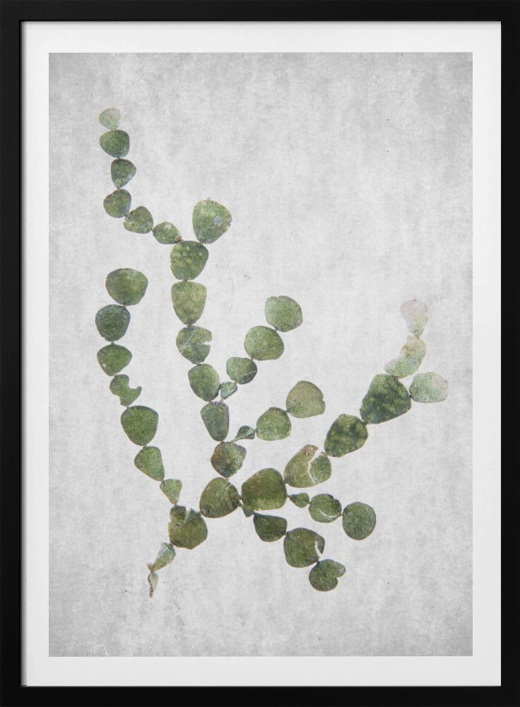 This Minimalist Artwork | Poster