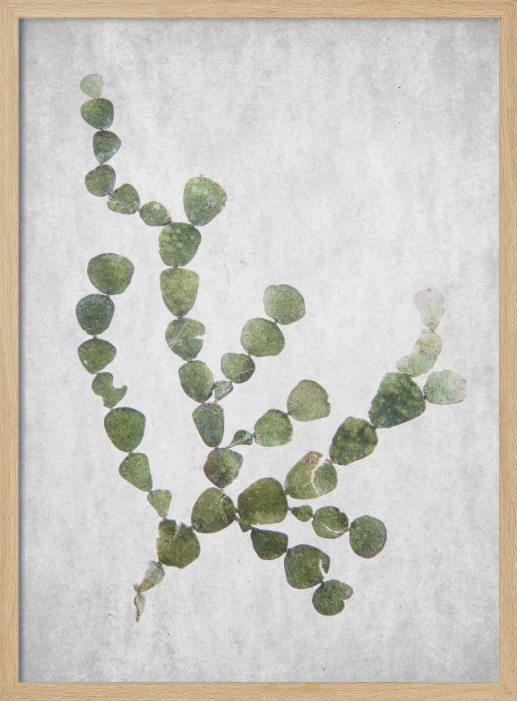 This Minimalist Artwork | Poster