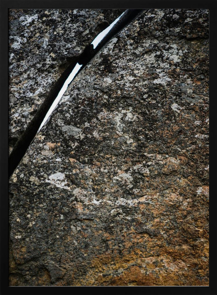Gebarsten aardader | Poster
