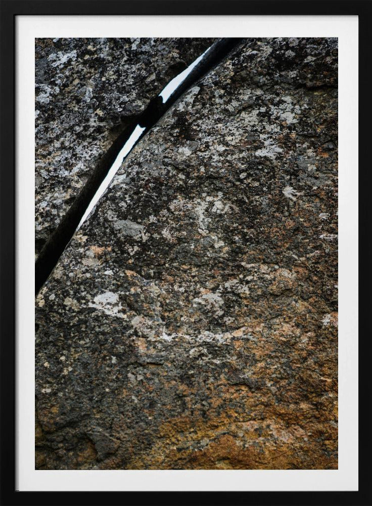 Gebarsten aardader | Poster