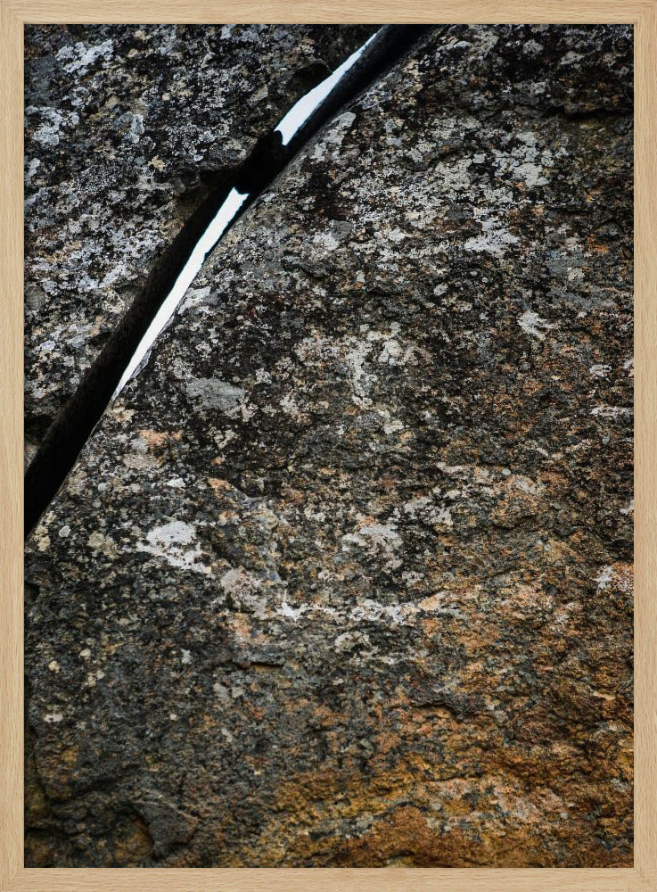 Gebarsten aardader | Poster