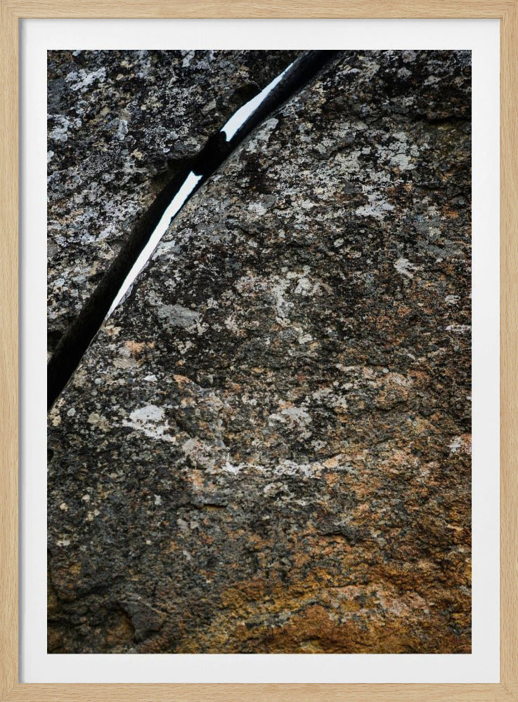 Gebarsten aardader | Poster
