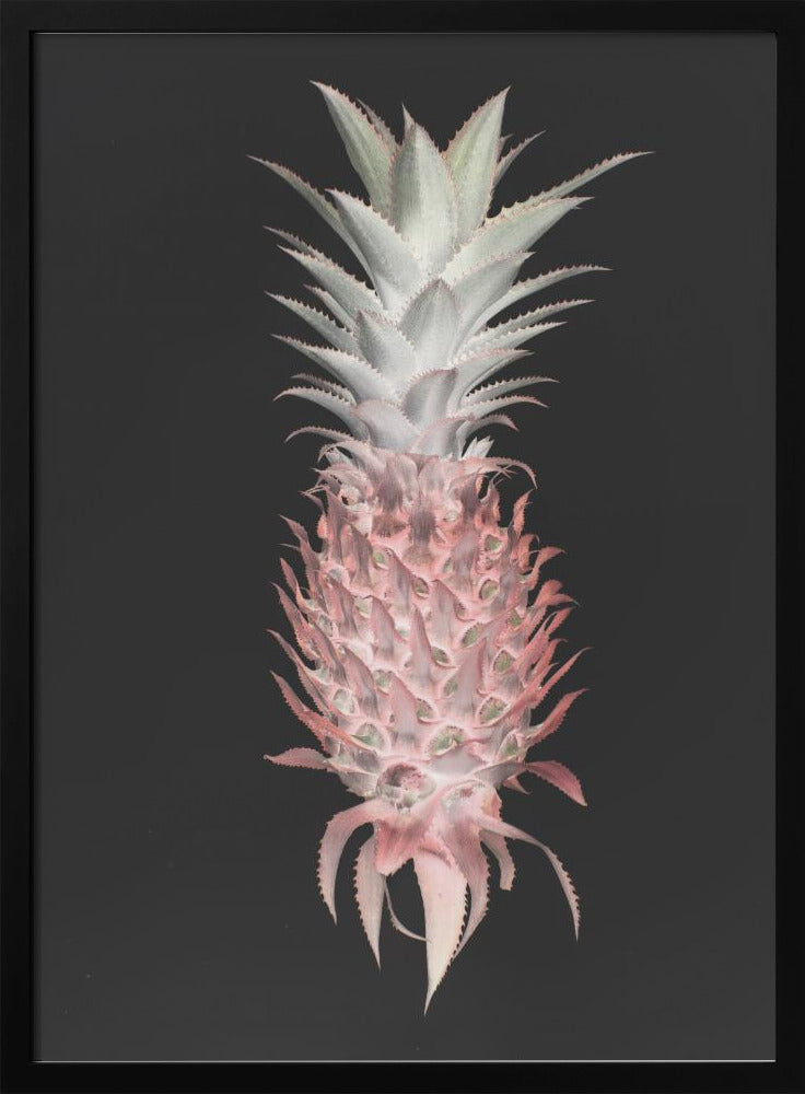 Aardbeienpijnboom | Poster