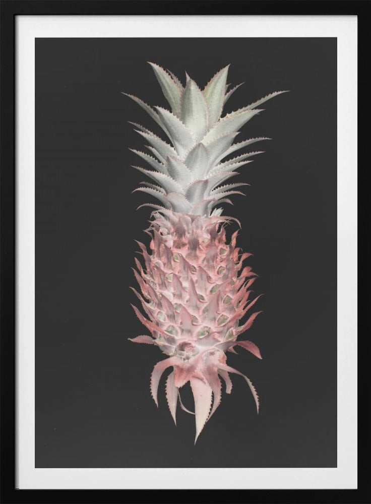 Aardbeienpijnboom | Poster