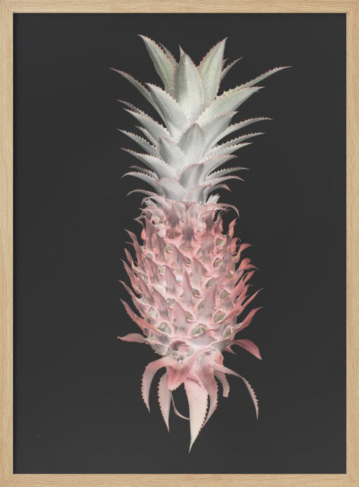 Aardbeienpijnboom | Poster